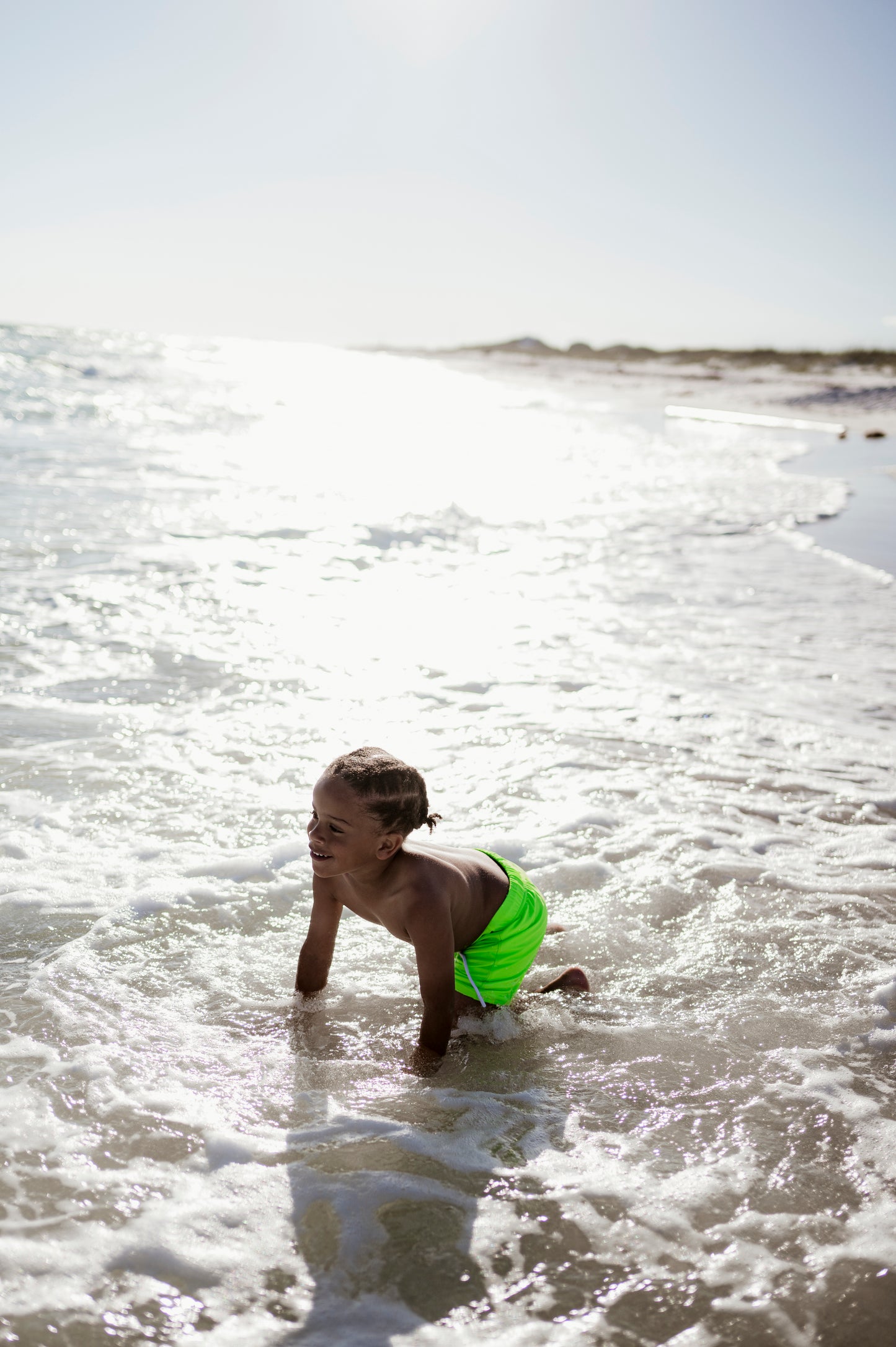 Limelight - (SWIM SHORTS)